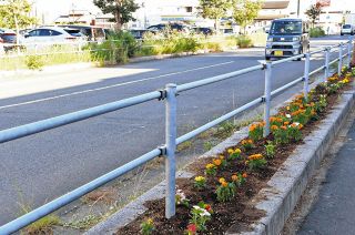 学生が花を植えた道路沿い。対向車線側は雑草が生い茂っている