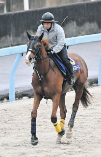 2000年のダービー馬アグネスフライトが老衰で死ぬ 26歳 :中日 2000年のダービー馬アグネスフライトが老衰で死ぬ 26歳 :中日
