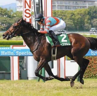 イクイノックスの活躍で注目される父キタサンブラックの種牡馬