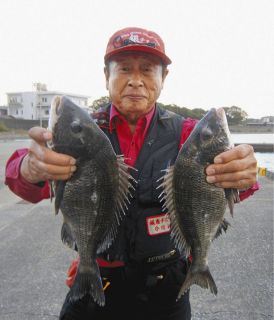 丸貝釣法微調整OK　的矢湾・畔蛸イカダ