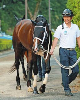 ワグネリアン天国へ 18年の日本ダービーV 昨年JC後に体調を崩し入院も