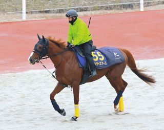 亡き父から「『いい仕事したな』と珍しく褒めてもらえた気がした