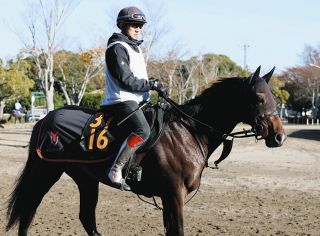 迫る新種牡馬産駒の2歳馬デビュー サトノダイヤモンドらに加えて実績