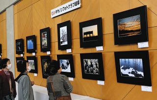 15人が自信作を出品　「キヤノンフォトクラブ岐阜」の作品展が関で始まる