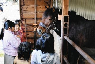 ３代目木曽馬「薫風」、流鏑馬デビューへ子どもたちと駆ける！　岐阜県土岐市の妻木八幡神社