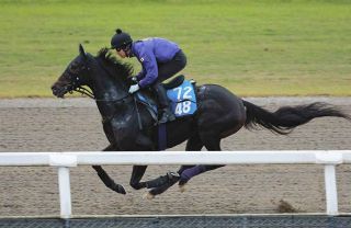 亡き父から「『いい仕事したな』と珍しく褒めてもらえた気がした