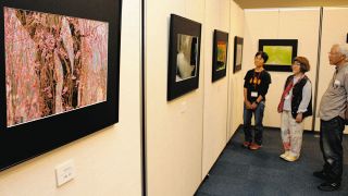 しだれ梅や棚田…四季の風景写真　各務原の「写友煌めき」が作品展