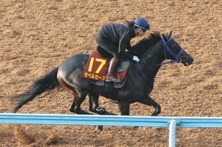 2002年皐月賞馬、ノーリーズン死す 25歳 通算12戦3勝：中日スポーツ