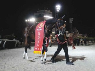 皐月賞】エフフォーリアが無傷4連勝で圧巻V「最高です」初G1制覇