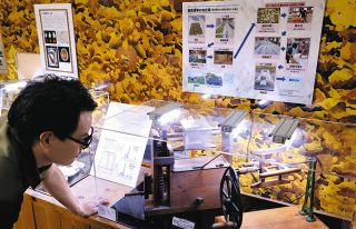 カイコの魅力を一堂に紹介　磐田市の竜洋昆虫自然観察公園で「カイコ展」