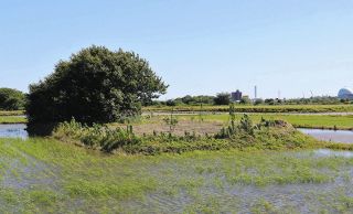 美のありか＞ 国宝「色絵藤花文茶壺」 野々村仁清（MOA美術館蔵