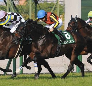 消せる馬・スプリンターズS】国内初戦振るわぬ前走海外レース出走馬