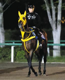 金鯱賞の主役狙う菊花賞馬ドゥレッツァ、仕上がりに不満なし 『勝っ