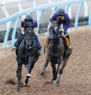 03年スティルインラブ以来の「紅梅S＆桜花賞」W勝利へ…成長中の