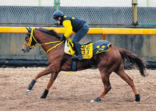 皐月賞】エフフォーリアが無傷4連勝で圧巻V「最高です」初G1制覇の横山
