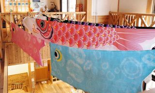 園児らが制作したこいのぼりが出迎え　松本・アルプス公園に展示