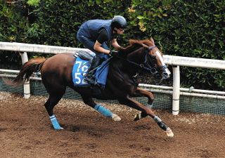 まねき馬倶楽部　年度代表馬・世界一sp 2508イクイノックス まねき馬倶楽部 年度代表馬・世界一sp 2508イクイノックス まねき馬