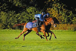 有馬記念企画】ルメール＆ハーツクライ、人馬ともに殻を破った05