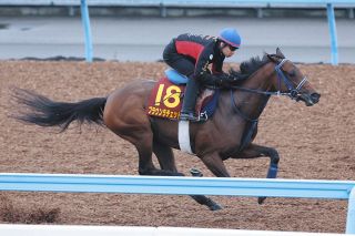 新人の角田大河騎手が初騎乗初勝利！続く2Rも勝利しデビュー2