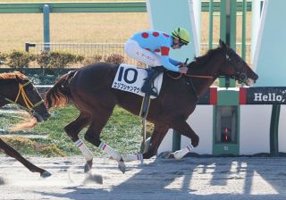 セレクトセール】まさに桁違い…イクイノックス×サウジC勝ち馬が5億8000