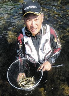 アユ数釣り満喫　三重県名張市・名張川
