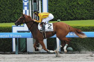 【現地的中】単複応援馬券2022年 日本ダービー ドウデュース3番人気1着！武豊 2024日本ダービー東京優駿(G1)最終予想】 【勝負馬券】を完全
