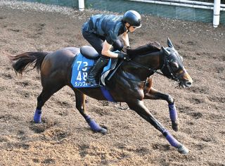 レモンポップ、地力見せつけJpn1昇格レース制す 坂井瑠「記念す
