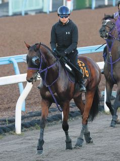 上原博之師が現役28人目のJRA通算500勝を達成、田中克典師は現役145