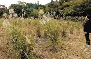 ＜追う＞遊休農地の活用法を提案　注目集める「みえ農業ビジネスプランコン」