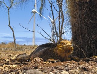 ã€å‹•ç”»ã€‘ã‚¬ãƒ©ãƒ‘ã‚´ã‚¹è«¸å³¶ã€ç«åŠ›ç™ºé›»ä¾å­˜ã‹ã‚‰ã€Œé€²åŒ–ã€ã®æ™‚ã€€å†ç”Ÿã‚¨ãƒãƒ«ã‚®ãƒ¼æ™®åŠã¸ä¸­éƒ¨é›»åŠ›ãªã©æ”¯æ´