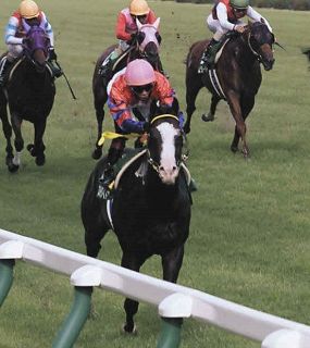 中央競馬】今村聖奈が17戦目で初勝利 阪神8R、5番人気ブラビオで直線