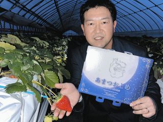 五感で味わう「あまつおとめ」　津市の農園ブランド、いちご選手権で全国2位