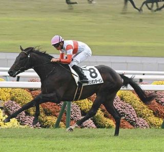 【京都新馬戦】母はBCジュヴェナイルフィリーズ勝ち馬、1番人気ダノンカンタービレ初陣V　岩田望騎手「デビュー戦としてはいい内容だった」