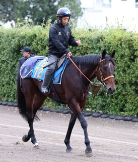 ボルト氏の馬術 ボルト氏の馬術 | ハリー・ボルト, 荒木雄豪, 高津彦太郎, 井上正樹