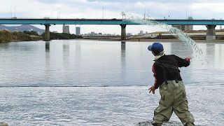 落ちアユ目がけて網を放つ。鏡島大橋下流での瀬張り網漁
