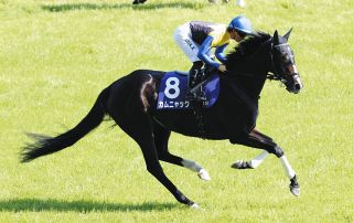 2004年、断然人気のダンスインザムードを一蹴…ダイワエルシエーロが