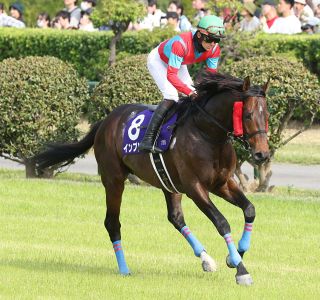 ノーリーズン　02年 皐月賞　的中単勝馬券含む全18頭セット　18枚　希少 2002年皐月賞 ノーリーズン - YouTube