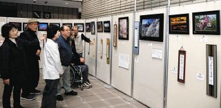 写真×俳句の最後のコラボ　多治見のNPO法人が高齢化で解散へ