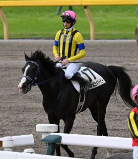 昨年覇者ペプチドナイルら23頭が登録 23日に東京競馬場で25年