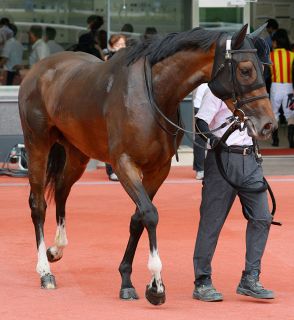 オークス】オークスで歴史的Vの今村聖奈騎手が〝相棒〟ジュウリョク
