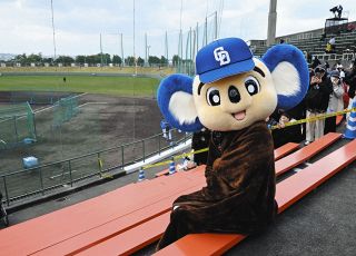 45e7081d2dc6c8f4a6d55eb2b517d4