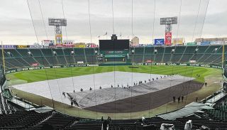 【センバツ】朝方に雨も、決勝戦を前にグラウンド覆うシートを外す作業始まる