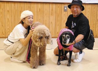 長寿の犬猫を表彰でお祝い、誕生日同じ大型犬は一緒に最優秀賞　津で県獣医師会