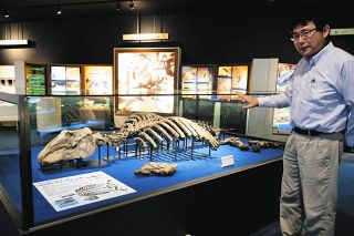 あなたも大発見があるかも？　土岐川の岩場で採集体験、瑞浪市化石博物館を見学