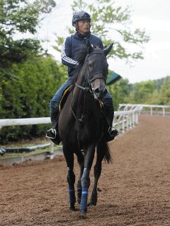 アネモネS・傾向と対策】3度の馬連万馬券＆4度の3連単10万超…波乱傾向