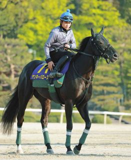迫る新種牡馬産駒の2歳馬デビュー サトノダイヤモンドらに加えて実績