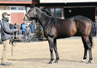 上原博之師が現役28人目のJRA通算500勝を達成、田中克典師は現役145