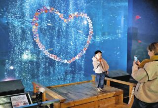 【希少一点物・開運出世】肉筆絵馬師 岩田義一作 虎 額装 開運絵画 石徹白ホッと情報【絵馬〜祈りを込めた美術〜】石徹白地区の住民で日本