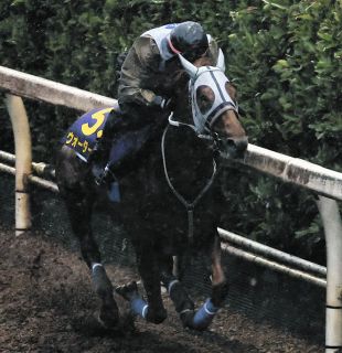春の総決算・宝塚記念 2番人気のクロノジェネシスが6馬身差の圧勝劇