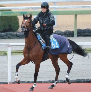 昭和52年 宝塚記念 トウショウボーイ 武邦彦 昭和52年 宝塚記念 トウショウボーイ 武邦彦 昭和52年 宝塚記念